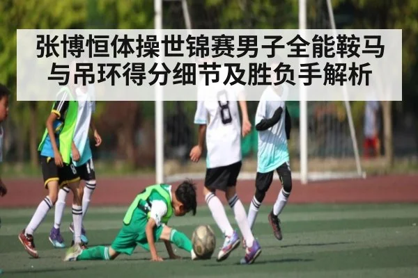 张博恒体操世锦赛男子全能鞍马与吊环得分细节及胜负手解析（leyu）