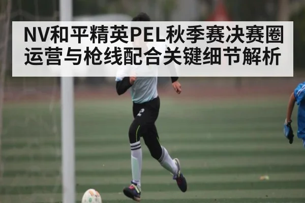 NV和平精英PEL秋季赛决赛圈运营与枪线配合关键细节解析（leyu）